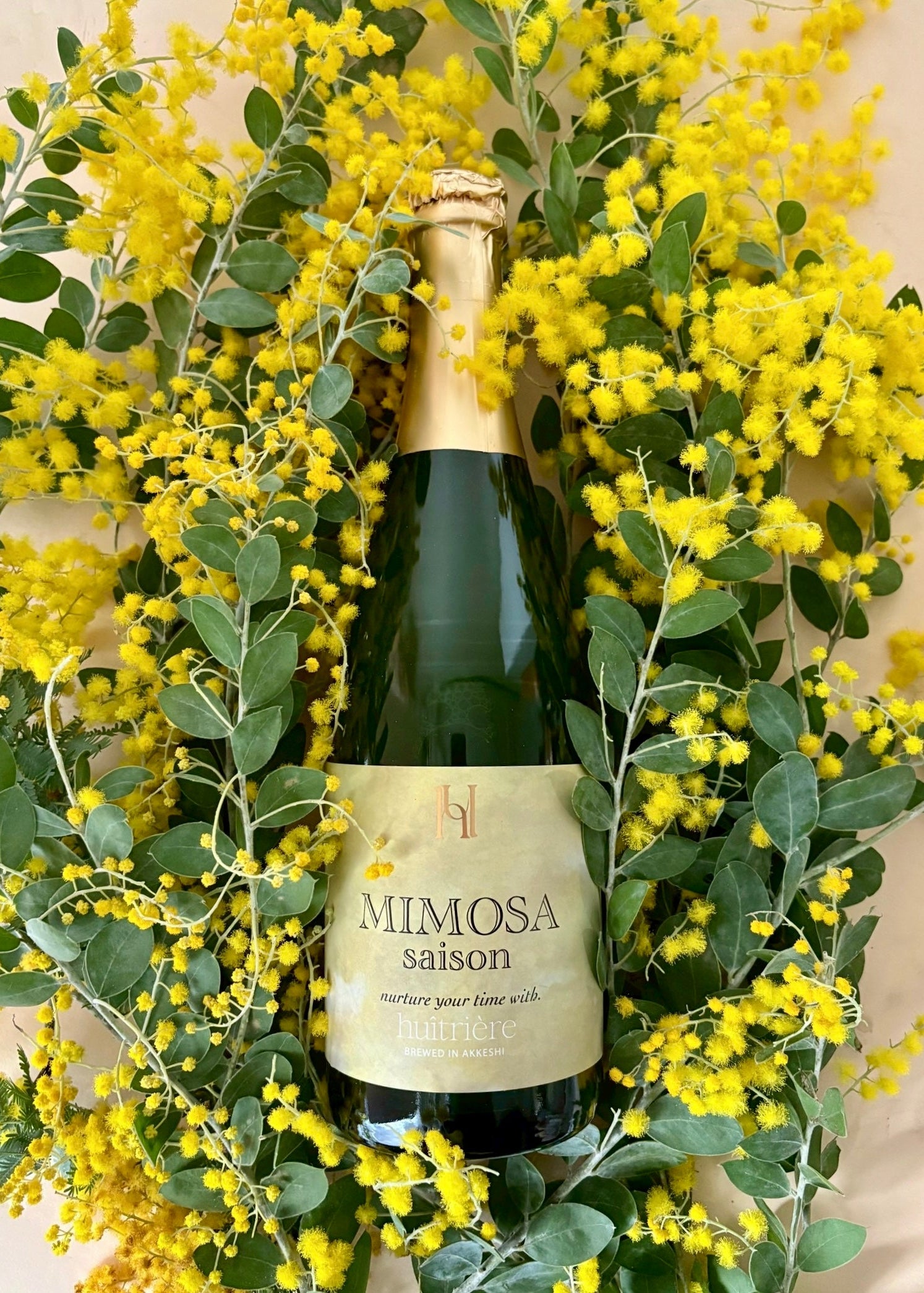 MIMOSA SAISON (ミモザセゾン) | huitriere